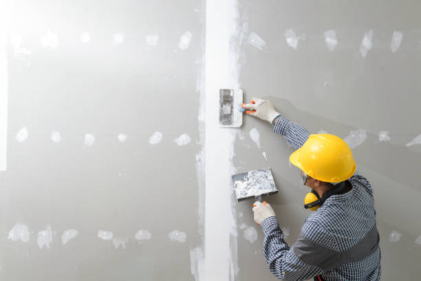 Best Mold Documentation for Insurance Claims  in Heath, OH